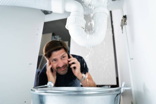 Best Plumbing Services Near Me  in Peculiar, MO